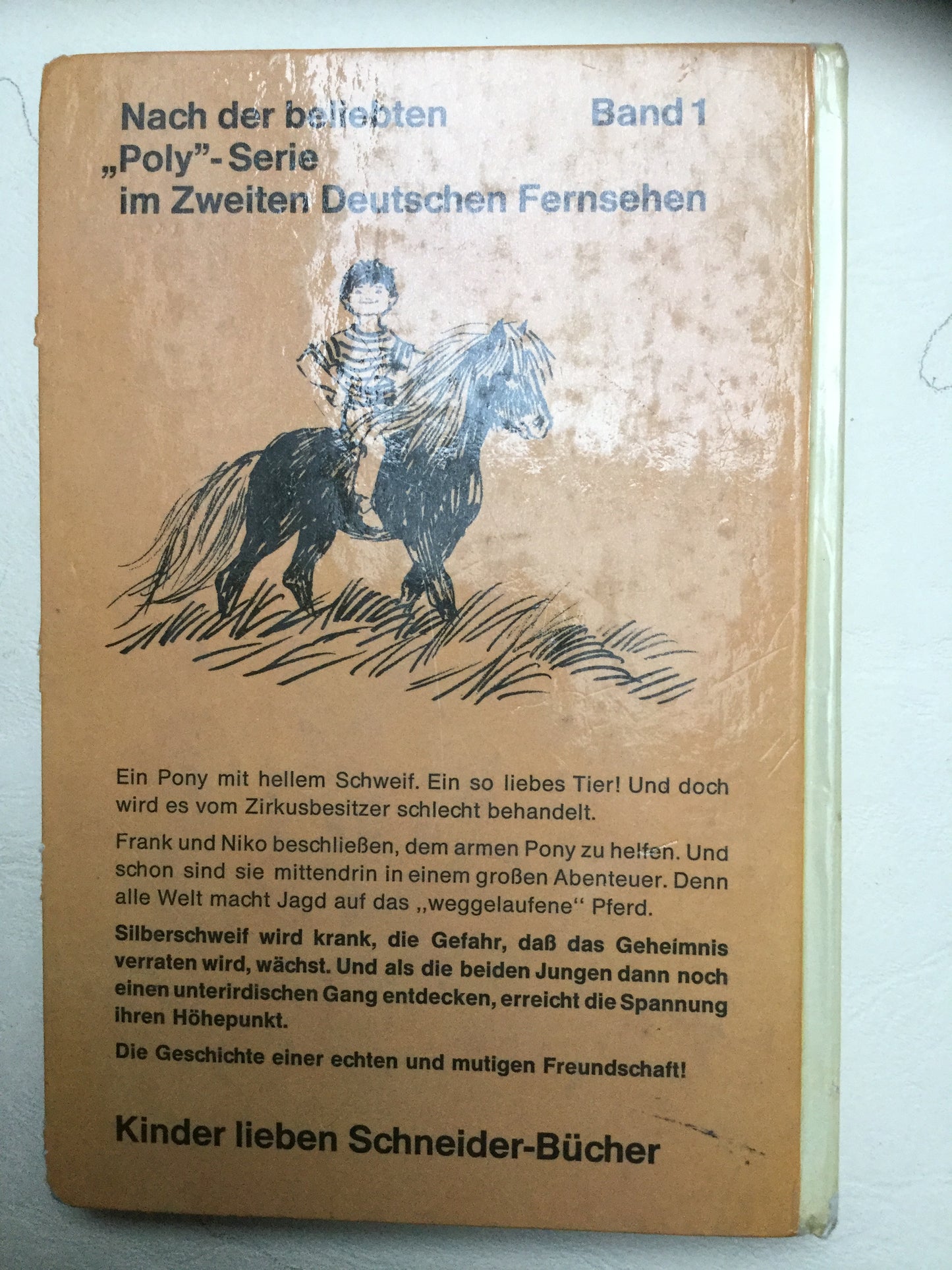 Wer rettet Silberschweif
