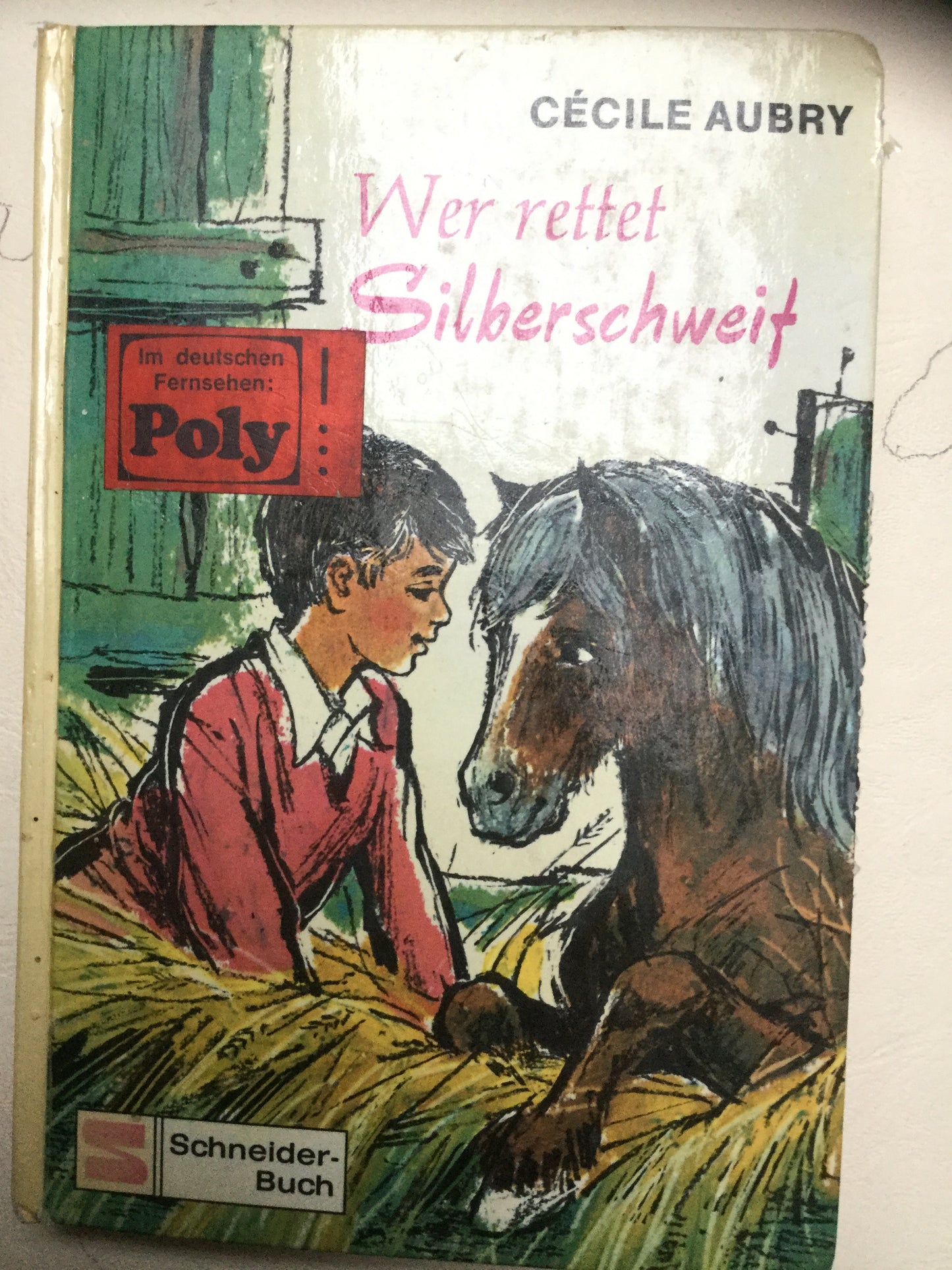 Wer rettet Silberschweif